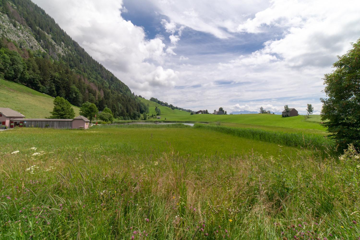 Wiesel Wildhaus Exteriér fotografie
