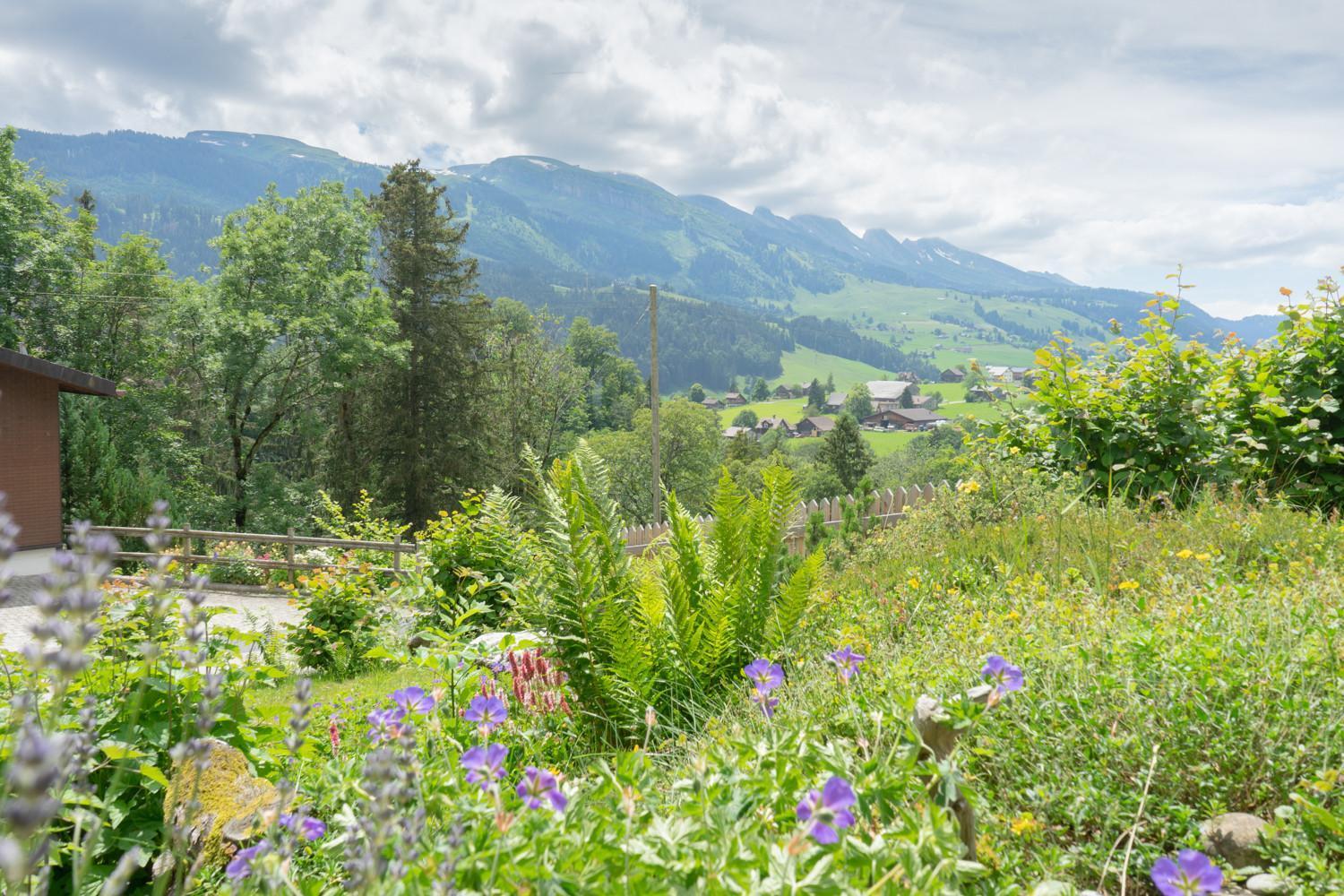 Wiesel Wildhaus Exteriér fotografie